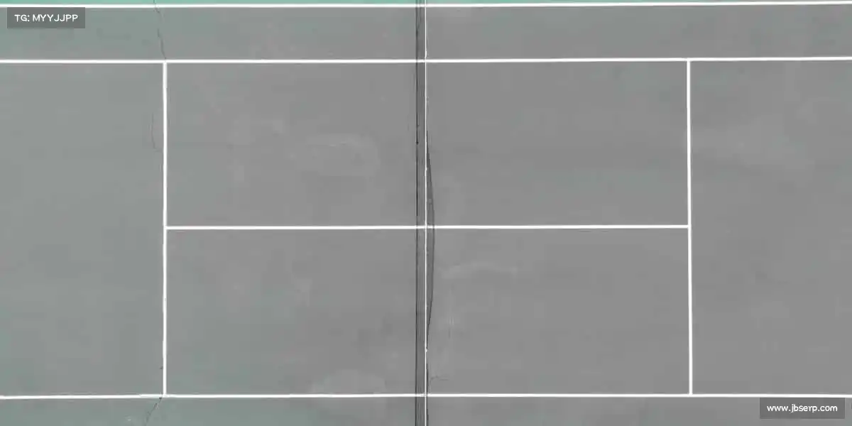 为什么选择我们